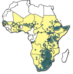 Distribution of Rhipicephalus evertsi evertsi